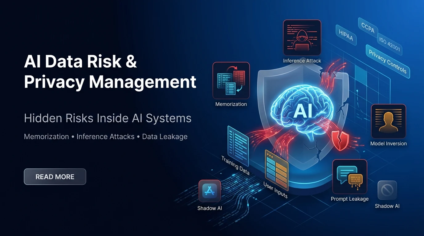 AI Data Risk and Privacy Risk Management